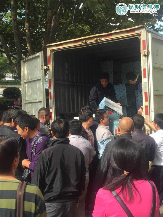 丽江“李勇雪桃”进入最佳采摘期 14余吨运抵昆明遭抢购