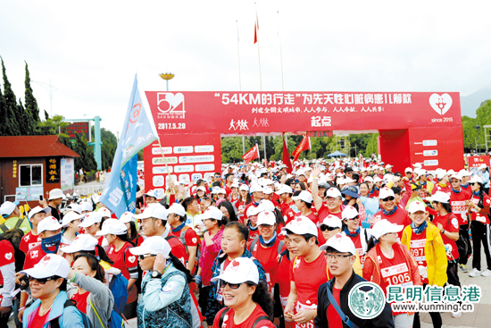 共青团昆明市委五年工作巡礼