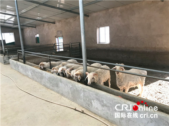 马达五德的养殖场