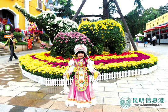 看花赏枫叶与萌宠互动 昆明各大公园丰富活动等你来 看花赏枫叶与萌宠互动 昆明各大公园丰富活动等你来