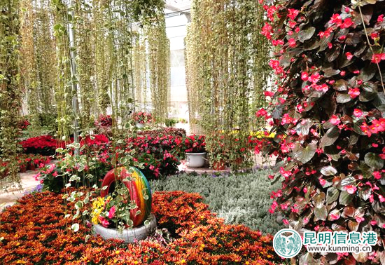 室内花园景观。柏斌 摄