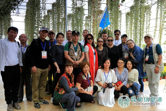 彩龙网友再次“约会花仙子” 共享“花样人生”