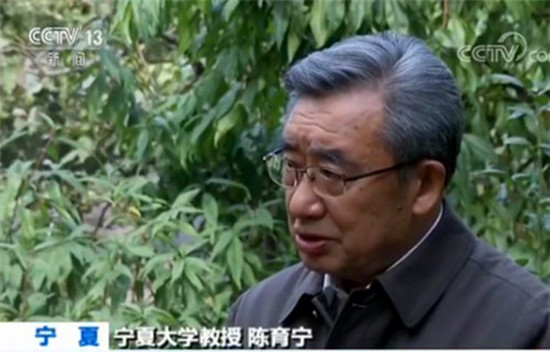 宁夏大学教授陈育宁 宁夏大学教授陈育宁