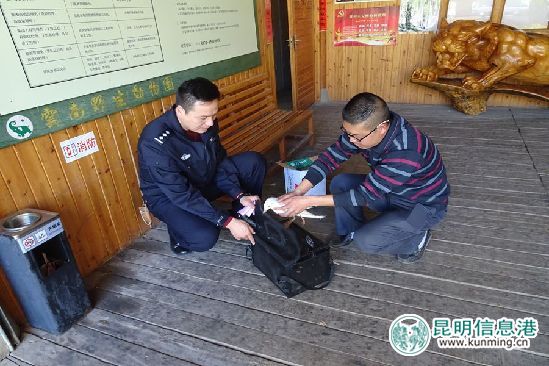 加大爱鸥护鸥宣传