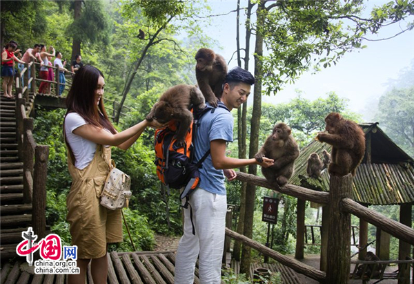 2017峨眉山国际登山节将启 乐山市民免费耍 2017峨眉山国际登山节将启 乐山市民免费耍
