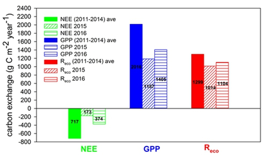 强降雪显著削弱哀牢山亚热带森林碳汇功能