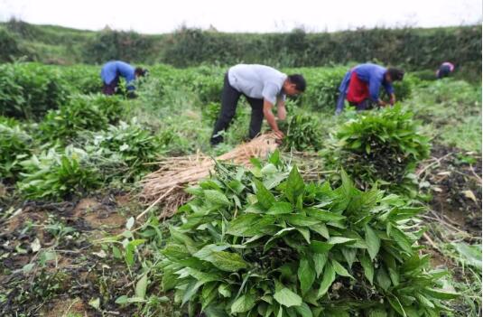 新时代你的工作生活什么样?十九大报告告诉你 新时代你的工作生活什么样?十九大报告告诉你