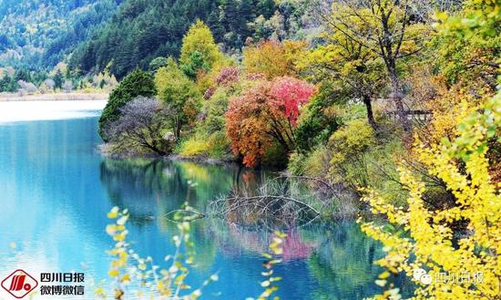 九寨沟震后首个秋:还是记忆中的童话世界