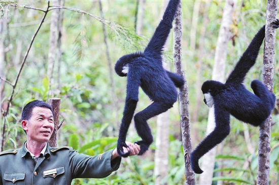 建设美丽云南共享生态文明