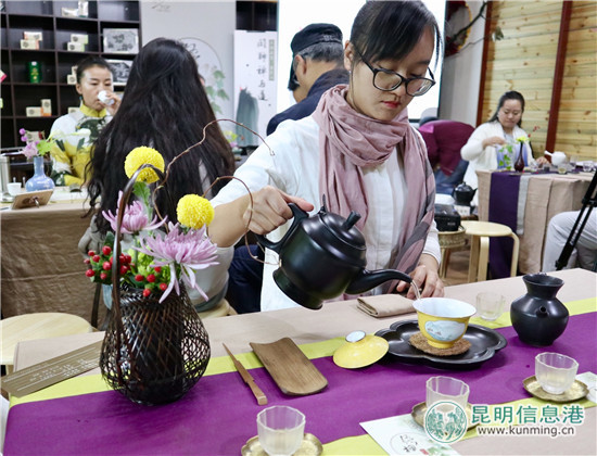 第四期大益梧桐茶会28日启幕 益友共聚昆明植物园闲聊茶与禅