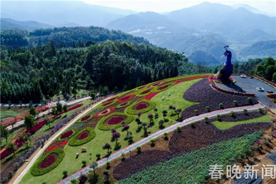 德宏芒市孔雀谷开门迎客 将放养五万只孔雀 德宏芒市孔雀谷开门迎客 将放养五万只孔雀