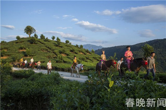 德宏芒市孔雀谷开门迎客 将放养五万只孔雀 德宏芒市孔雀谷开门迎客 将放养五万只孔雀
