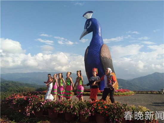 德宏芒市孔雀谷开门迎客 将放养五万只孔雀 德宏芒市孔雀谷开门迎客 将放养五万只孔雀