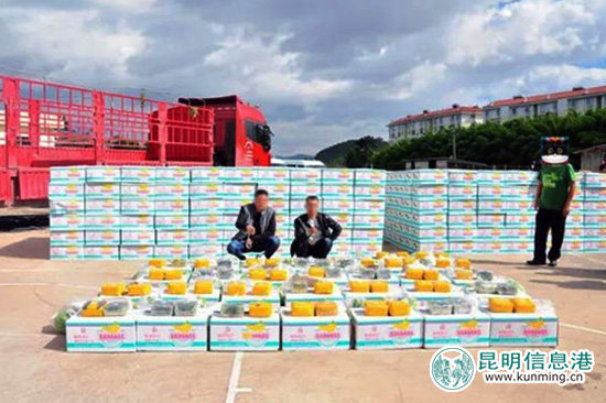 楚雄市警方破获历年最大毒品案 从56吨香蕉中缴获毒品65公斤 楚雄市警方破获历年最大毒品案 从56吨香蕉中缴获毒品65公斤