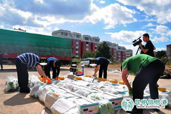 楚雄市警方破获历年最大毒品案 从56吨香蕉中缴获毒品65公斤 楚雄市警方破获历年最大毒品案 从56吨香蕉中缴获毒品65公斤