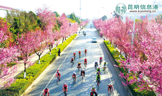2016年昆明高原环滇池自行车赛 2016年昆明高原环滇池自行车赛