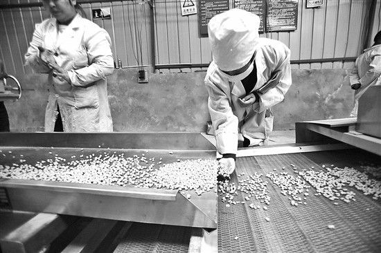 记者探访鸥粮制作：新型鸥粮不沉水更具营养