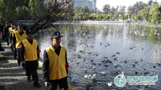 翠湖公园提前应对“观鸥季” 开展全园病毒消杀工作