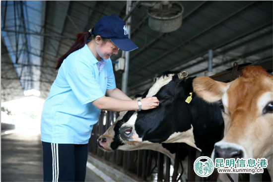 《企业社会责任蓝皮书（2017）》发布 蒙牛蝉联乳业第一