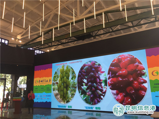 第二届“春城创业荟”创业创新大赛复赛9日举行 第二届“春城创业荟”创业创新大赛复赛9日举行