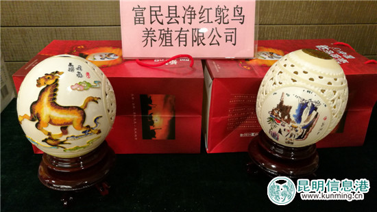 昆明电商扶贫暨高原特色农产品对接会举行 昆明电商扶贫暨高原特色农产品对接会举行