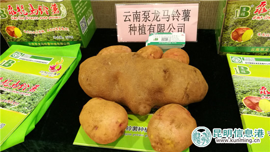 昆明电商扶贫暨高原特色农产品对接会举行 昆明电商扶贫暨高原特色农产品对接会举行