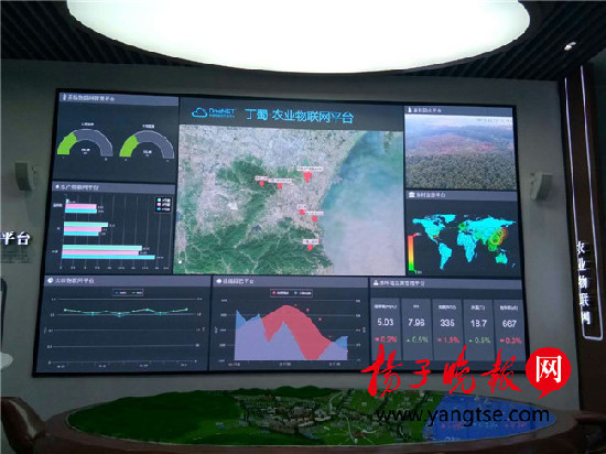 【领航新征程】不用“望天收”,这里的农业生产“望网收” 【领航新征程】不用“望天收”,这里的农业生产“望网收”