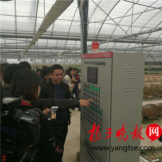 【领航新征程】不用“望天收”,这里的农业生产“望网收” 【领航新征程】不用“望天收”,这里的农业生产“望网收”