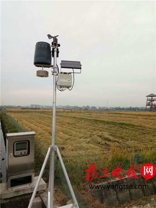 【领航新征程】不用“望天收”,这里的农业生产“望网收” 【领航新征程】不用“望天收”,这里的农业生产“望网收”