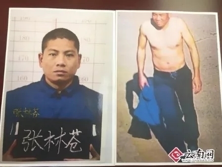 张林苍越狱案今日开审 半小时不到突然休庭