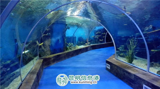 “呈贡一日游”正式发布 网罗冰心默庐等四大著名景点 “呈贡一日游”正式发布 网罗冰心默庐等四大著名景点