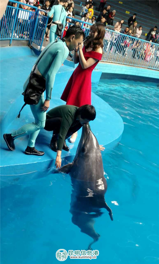 “呈贡一日游”正式发布 网罗冰心默庐等四大著名景点 “呈贡一日游”正式发布 网罗冰心默庐等四大著名景点