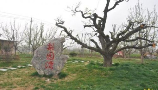 “一村一品一店”成为富民强区新引擎