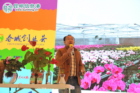 第二届“春城创业荟”半决赛现场。供图 第二届“春城创业荟”半决赛现场。供图