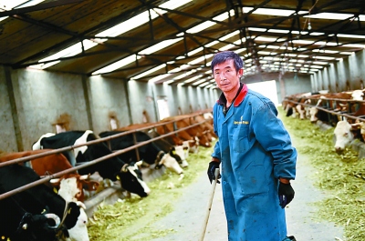 【领航新征程】带领群众苦干实干 把日子过得红红火火