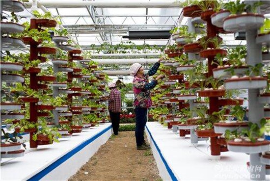 【领航新征程】网上触动、培训推动、产业带动，江苏盱眙三措并举加快富民增收步伐