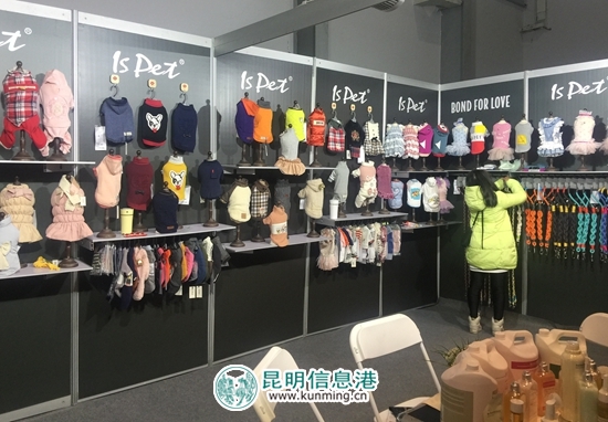 第二届昆明国际宠物博览会开幕 各色猫咪带来“盛世美颜”