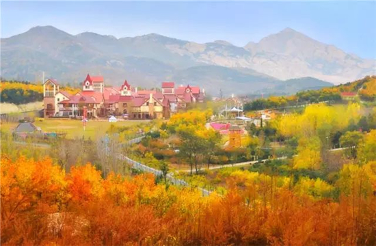 青岛这些乡村小镇带你领略初冬的极致美