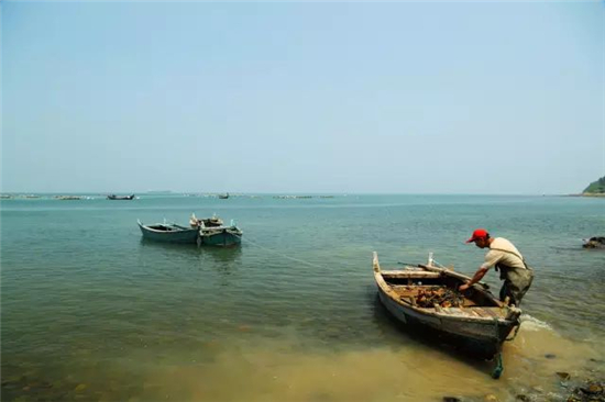 青岛这些乡村小镇带你领略初冬的极致美