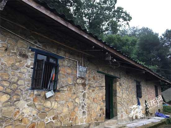 [领航新征程]村庄的另一种生长方式：创客上山资本下乡