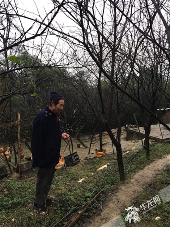 [领航新征程]村庄的另一种生长方式：创客上山资本下乡