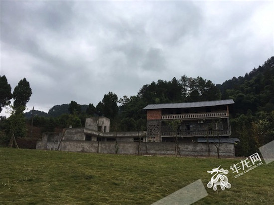 [领航新征程]村庄的另一种生长方式：创客上山资本下乡