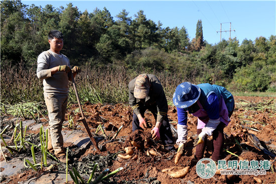 嵩明：精准帮扶完成2017年脱贫各项任务指标