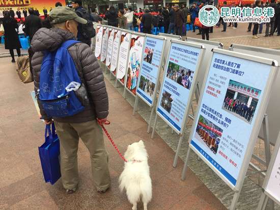 市民观看法治宣传展板