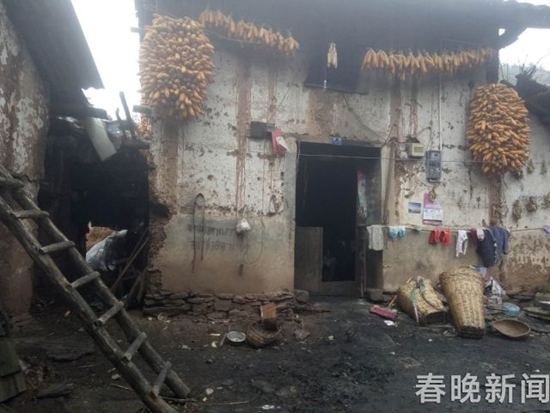 小洁的家 小洁的家