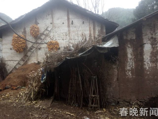 残疾女孩火海中被烧焦 残疾女孩火海中被烧焦