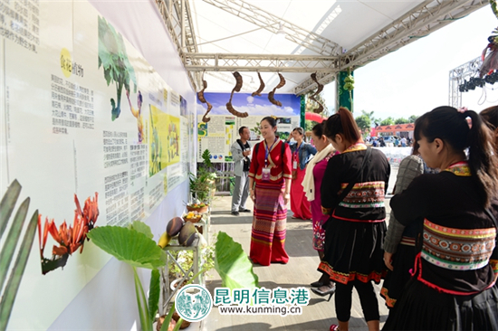 “探秘雨林野生食用植物”科普展亮相第三届云南名特小吃节