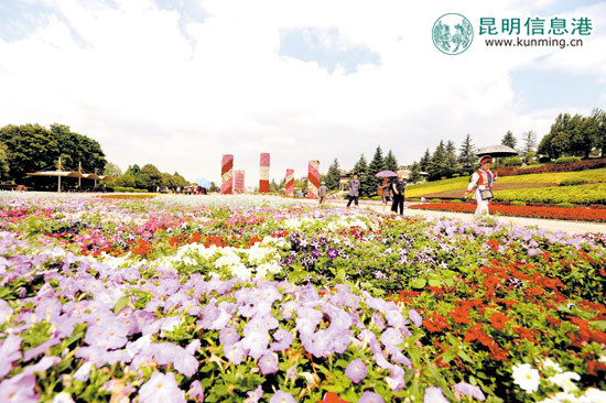 游客在世博园参观。