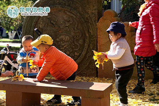 全国文明社区：官渡区石井社区共创文明惠及百姓