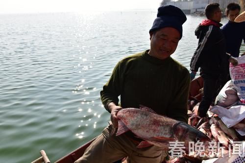 星云湖开渔 星云湖开渔